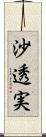 沙透実 Scroll