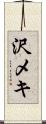 沢メキ Scroll