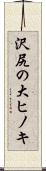 沢尻の大ヒノキ Scroll