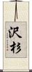 沢杉 Scroll