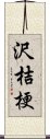 沢桔梗 Scroll