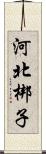 河北梆子 Scroll