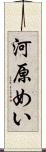 河原めい Scroll