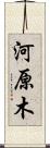 河原木 Scroll