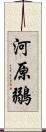 河原鶸 Scroll