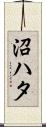 沼ハタ Scroll