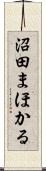 沼田まほかる Scroll