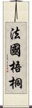 法國梧桐 Scroll