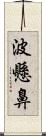 波懸鼻 Scroll