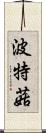 波特菇 Scroll