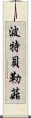 波特貝勒菇 Scroll