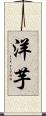 洋芋 Scroll