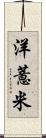 洋薏米 Scroll