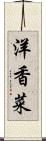 洋香菜 Scroll
