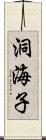 洞海子 Scroll