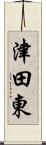 津田東 Scroll