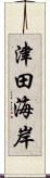 津田海岸 Scroll