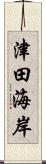 津田海岸 Scroll