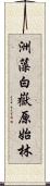 洲藻白嶽原始林 Scroll