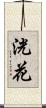 洸花 Scroll