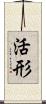 活形 Scroll