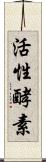 活性酵素 Scroll