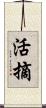 活摘 Scroll