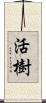 活樹 Scroll