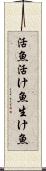 活魚 Scroll