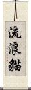 流浪貓 Scroll