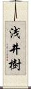 浅井樹 Scroll