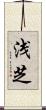 浅芝 Scroll