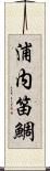 浦内笛鯛 Scroll