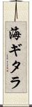 海ギタラ Scroll