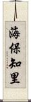 海保知里 Scroll
