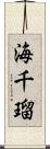 海千瑠 Scroll