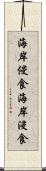 海岸侵食 Scroll