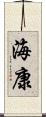 海康 Scroll