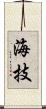 海技 Scroll