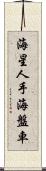 海星 Scroll