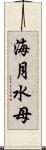 海月 Scroll