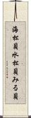 海松貝 Scroll