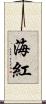 海紅 Scroll