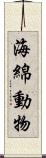 海綿動物 Scroll