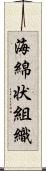 海綿状組織 Scroll