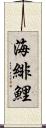 海緋鯉 Scroll