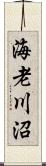 海老川沼 Scroll