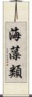 海藻類 Scroll
