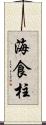 海食柱 Scroll