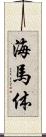 海馬体 Scroll